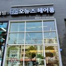 뉴즈헤어 이미지