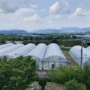 김해농장2 이미지