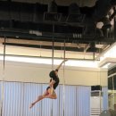 이카루스 | 일산 폴댄스 폴린이 국화의 602회차 수업 후기 초급 이카루스