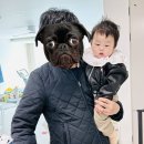 부라보어린이집 이미지