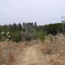 신월목장 이미지