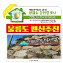 울릉도 펜션 왔어요.