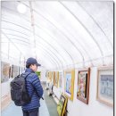 웅동마을 이미지