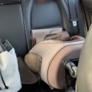 싱글댕글 애견유치원앤호텔 | 2021.02.06 : 부산 영무 파라드 호텔 후기