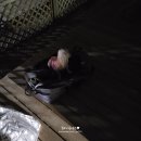 예산 피플앤독힐링캠프 애견전용 캠핑장 첫 방문