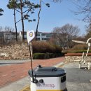 SK에너지(주)직영 기쁨셀프주유소 | [주유] 석유가격최고제 시행 후 첫 주유 (보정동 꽃길 주유 시세)