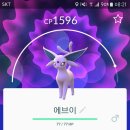 블래키 Daum카페