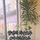 마이리틀호주 이미지