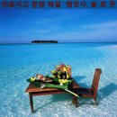 조영통신 이미지