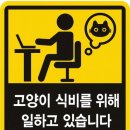 키다리동물병원 이미지