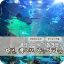 대전 엑스포 아쿠아리움 할인 연간회원권 솔직후기