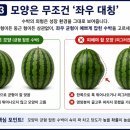 장사마트