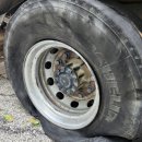 장계 카센타 이미지