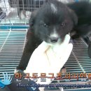 대곶남로 이미지