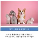 스마일동물의료센터 이미지