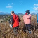 선달농장 이미지