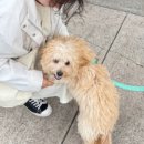 성윤농장 이미지