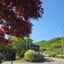 마이산섬진펜션 이미지