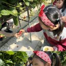 먹방농장1 이미지