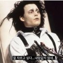 부천 캡틴코리아 태권도장 | 애견미용 꿈나무, 애견미용학원 잇츠그루밍(It’s Grooming) 후기