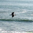 마리아농장 이미지