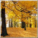 추억만들기 이미지