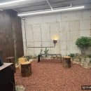 시쿠은제마 이미지