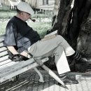 쉽게 배우는 시니어 디지털 이미지