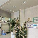 반려동물병원 이미지