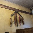 민속마을탱자나무 이미지