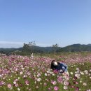 김가네나주