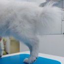 CM 동물병원 이미지