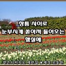 어느봄날 이미지