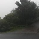 2012 08 21 대전 기습 폭우 동영상 이미지