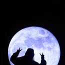 장흥정남진 이미지