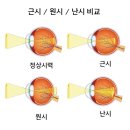 라메종옵티크 이미지