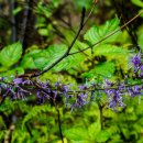 하늘여울소치마을 이미지