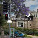 🇦🇺 11월 호주 7박9일 여행 ➏일차 :: 뉴타운부터 헤이마켓까지 시내 쇼핑