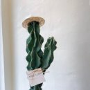 팔암농장 이미지