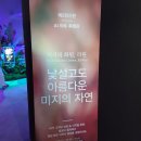 라온미디어 | "장마철 실내 데이트 장소" 경주 라원 미디어아트 아이랑