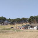 광산 귀후재 Daum카페