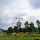 기차마을 장미공원 이미지