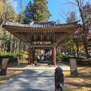 복천사 선원제전집도서 | 하동 쌍계사 국보와 보물을 만나는 사찰 여행