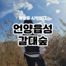 포항동서남북센타 | 울주 언양읍성 갈대밭에서 예쁜 사진 찍을 수 있는곳