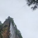 인재건어물 이미지