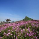 ※[추가]2016.[봄~여름]축제 ~참고하세요~!! 이미지