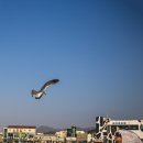 금구원야외조각미술관 | 추억 만들기(2)