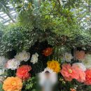 아쿠아엘씨생명과학 | 대전 아이와 가볼만한 곳 추천! 국립중앙과학관 생물탐구관 다녀온 솔직 후기