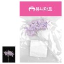 연보라 쇼핑하우