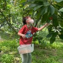 가막골농장 이미지